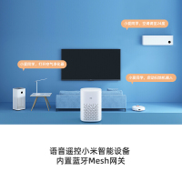 誰才是真正的便攜智能之選？小米小愛音箱Play對陣蘇寧宜品MS-850深度評測